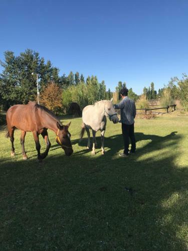 Lodge Finca Silvestre