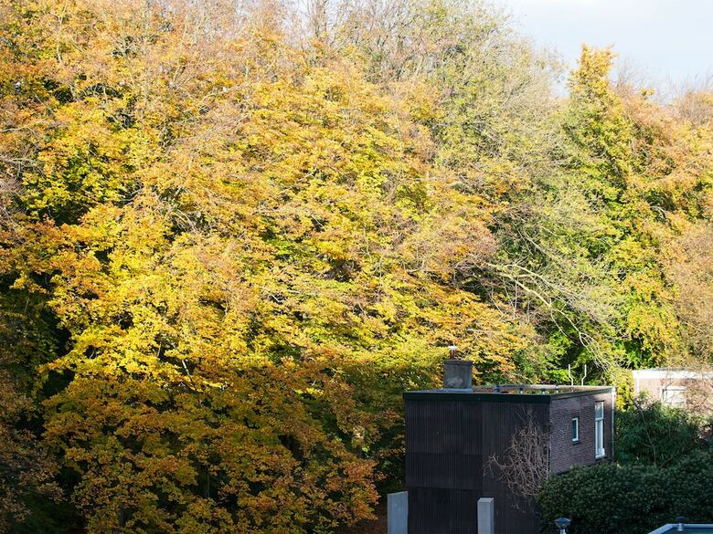 Apartamentos Bizstay Park Central Executive