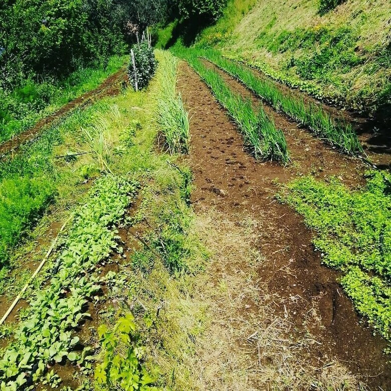 Agroturismo Agriturismo Castanito