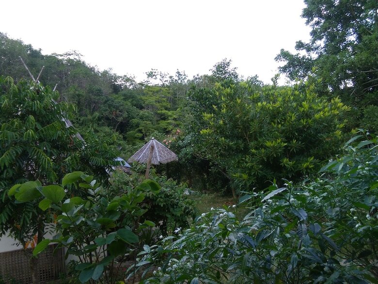 Hotel Tararine Homes