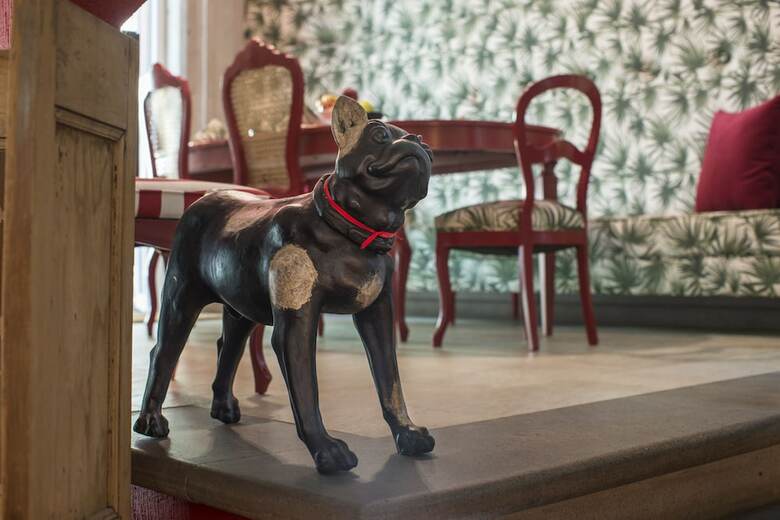 Bed & Breakfast Pug Seal Coyoacan