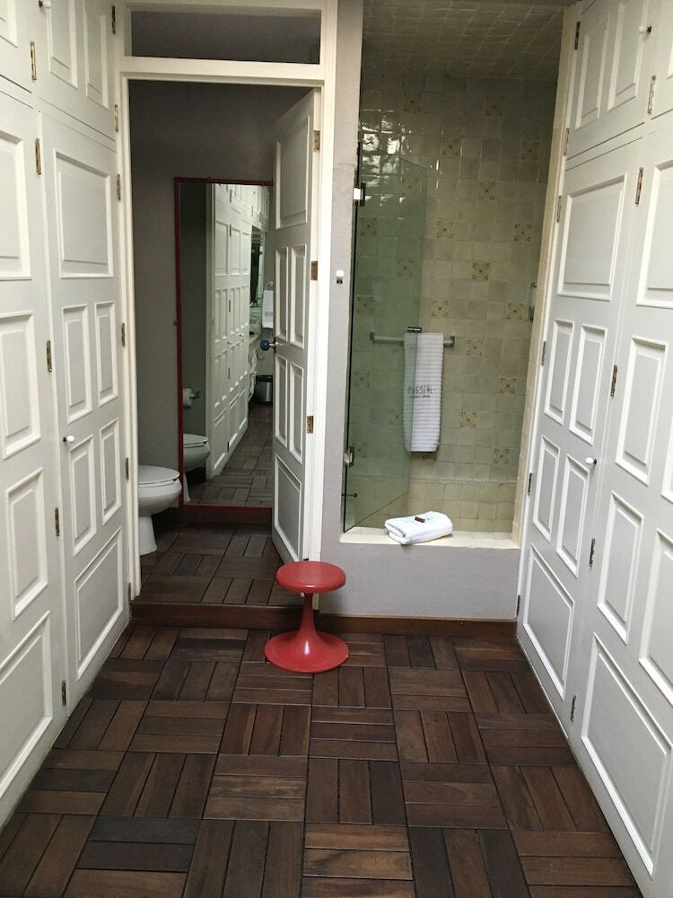 Bed & Breakfast Pug Seal Coyoacan