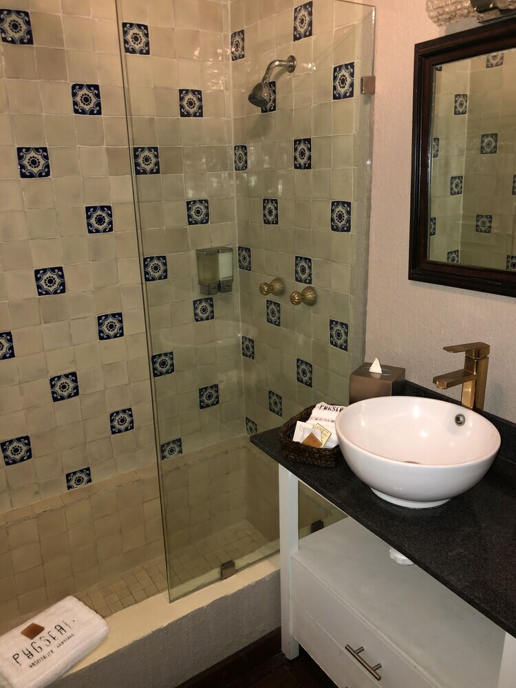 Bed & Breakfast Pug Seal Coyoacan