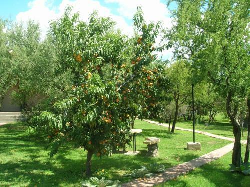 Posada Los Antiguos