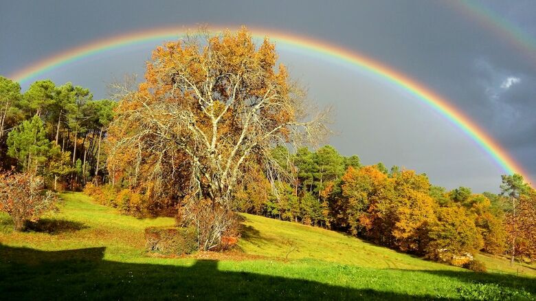 Relais de Montgeoffroy B&B