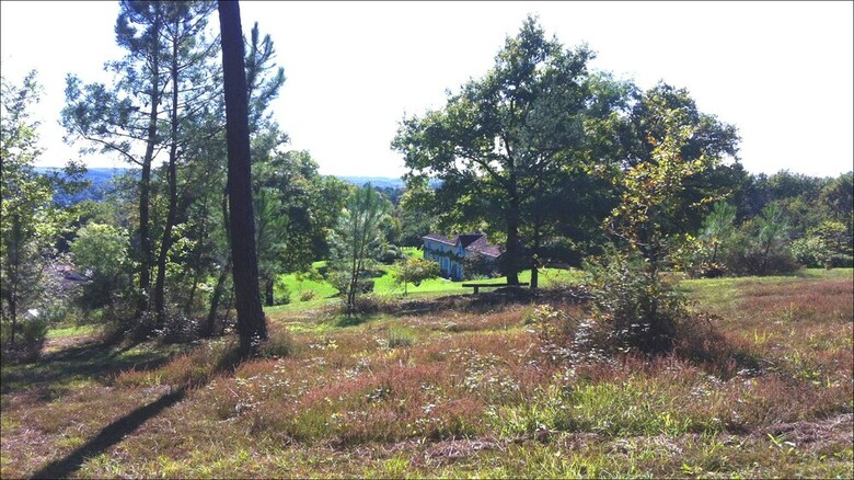 Relais de Montgeoffroy B&B