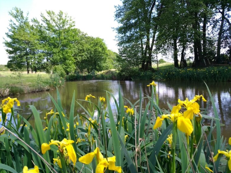 G�te L'etang de L'aiguille