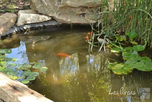 Lodge Caba�as Y Spa Las Pircas