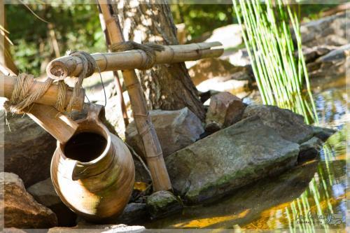 Lodge Caba�as Y Spa Las Pircas