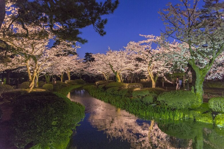 Daiwa Royal Hotel D-premium Kanazawa