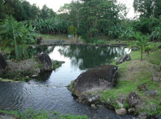 Hotel Los Lagos Spa & Resort
