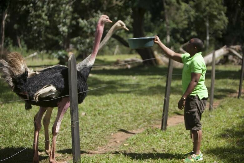 Hotel Ssese Habitat Resort