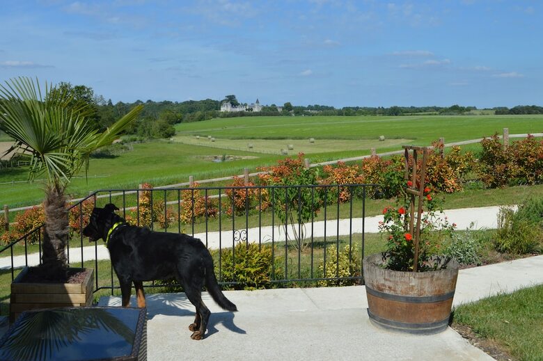 Cabana La Fontaine de La Chapiniere