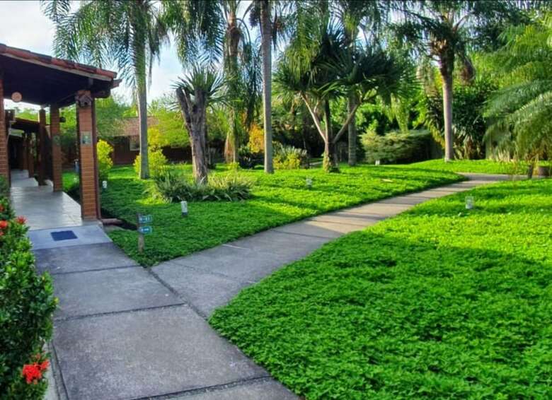 Palmier Hotel & Conven��es