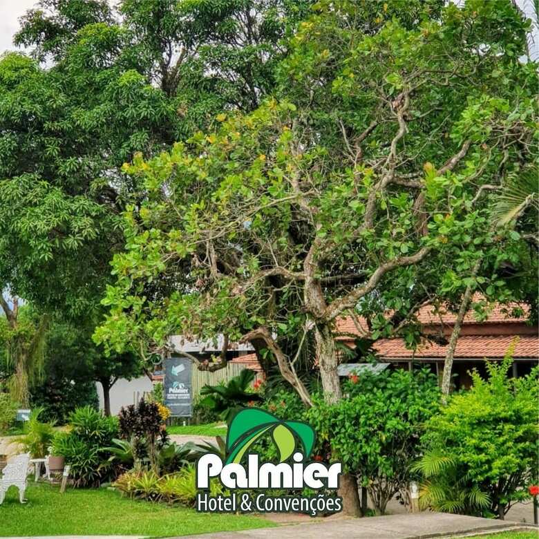 Palmier Hotel & Conven��es