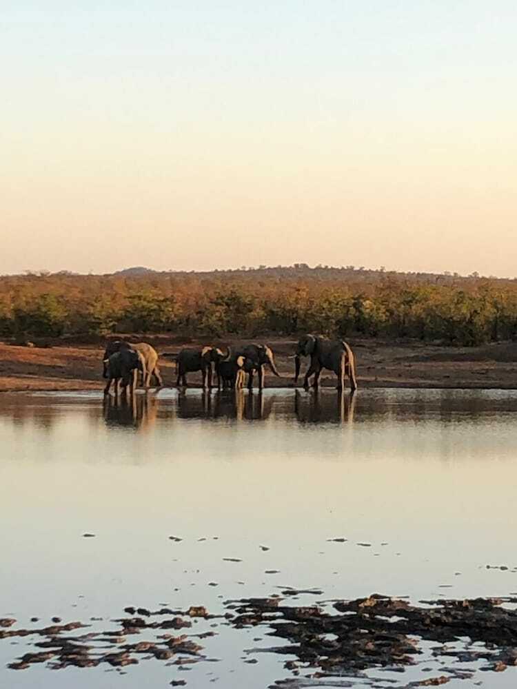 Posada Buffalo Tented Lodge