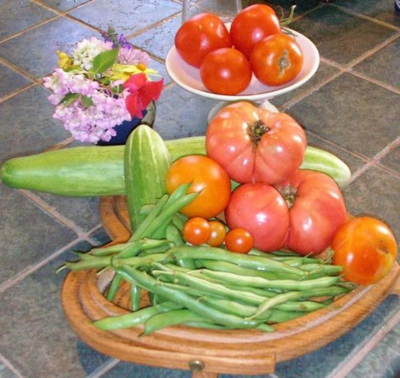 The Pines Of Dresden Bed And Breakfast