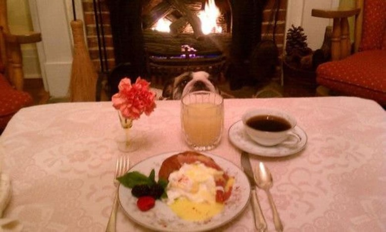 The Pines Of Dresden Bed And Breakfast