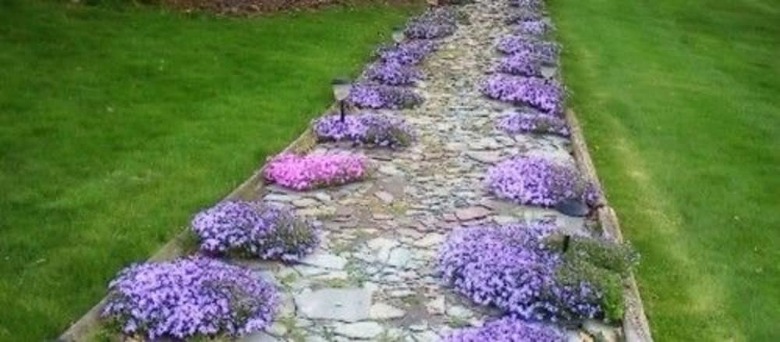 The Pines Of Dresden Bed And Breakfast