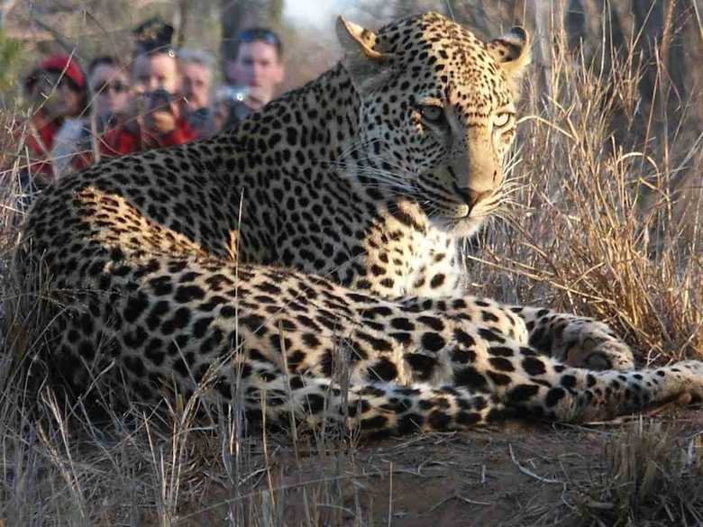 Posada Shumbalala Game Lodge