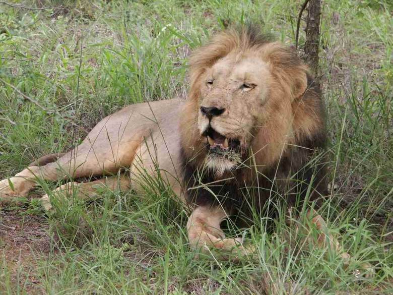 Posada Shumbalala Game Lodge