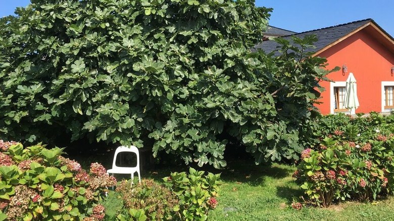 Apartamentos Jes?s For 4 People