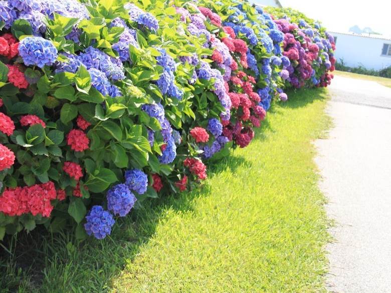 Apartamentos Jes?s For 4 People