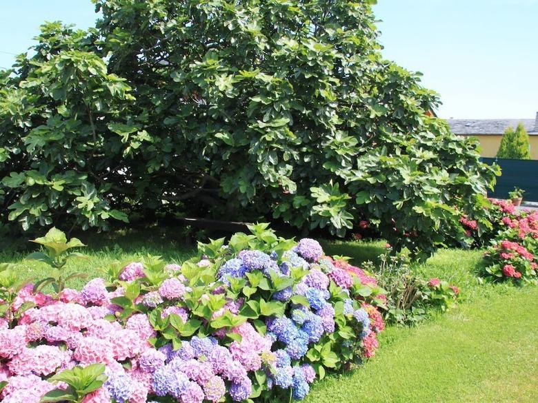 Apartamentos Jes?s For 4 People