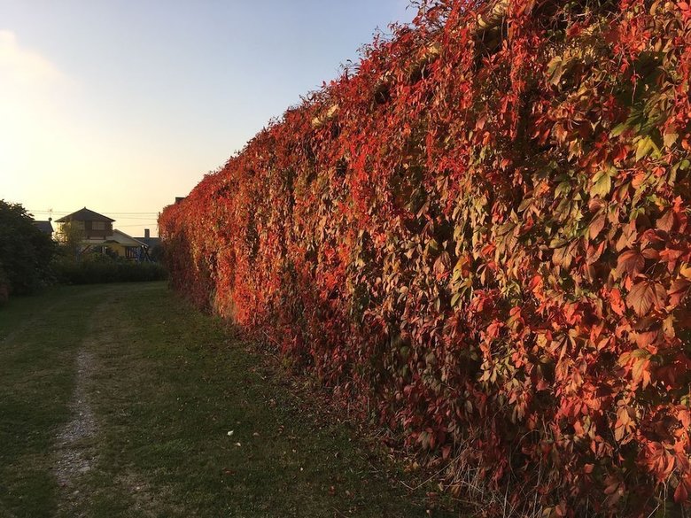 Apartamentos Jes?s For 4 People