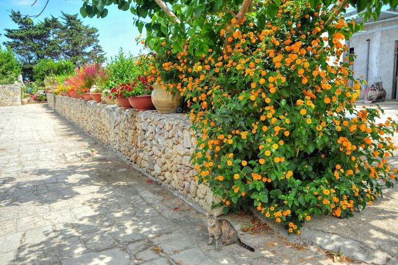 Apartamento Residence Villa Grotta Monaca