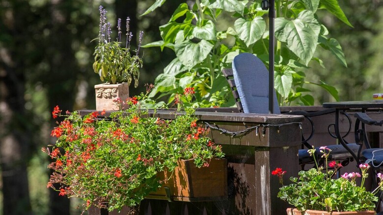 Pension Haus Wildbach