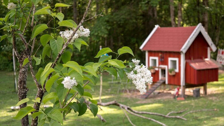 Pension Haus Wildbach