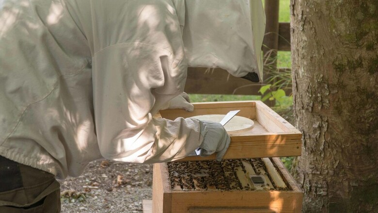 Pension Haus Wildbach