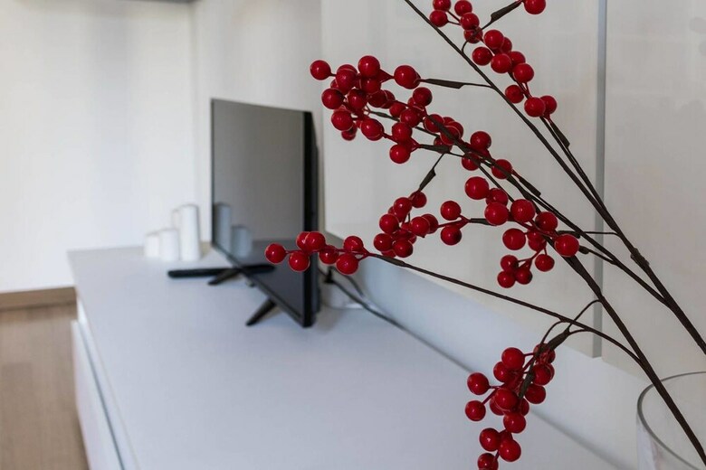 Apartamento Altido Evergreen Area 2