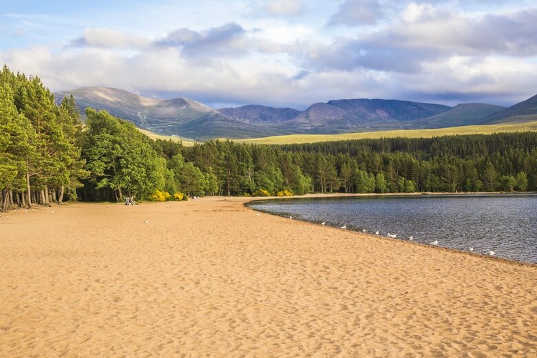 Posada Macdonald Aviemore Woodland Lodges