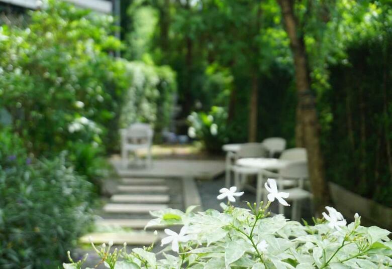 The Singha Hotel