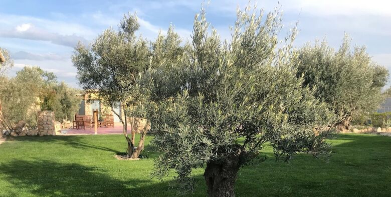 Agroturismo Cortijo Bustamante