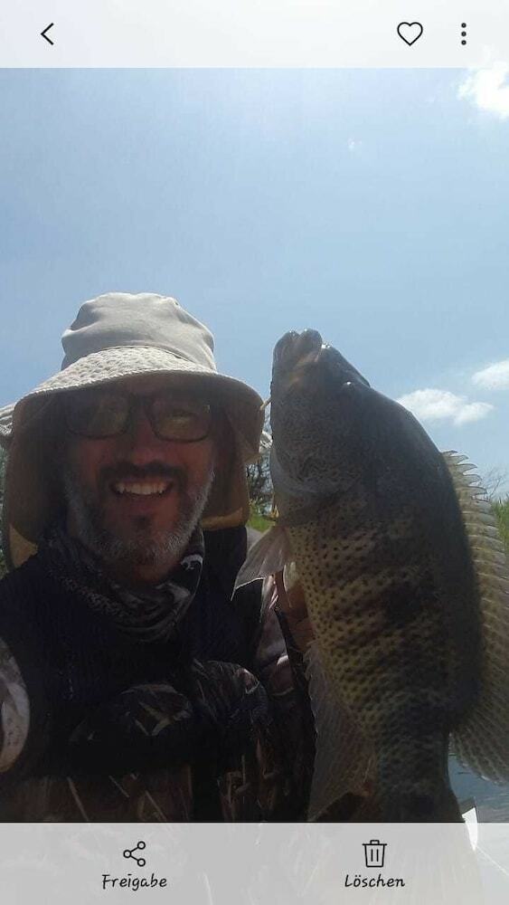 Posada Ceiba Tree Lodge