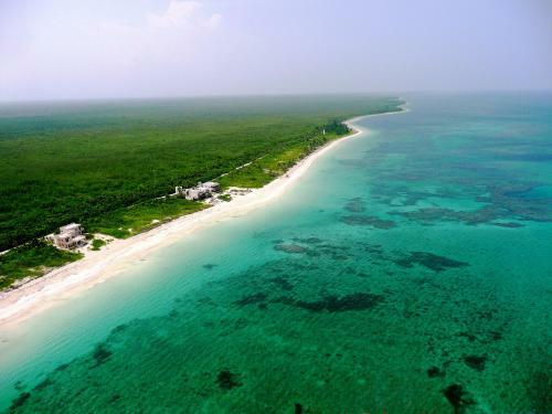 Hotel Almaplena Eco Beach Resort