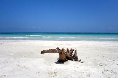 Hotel Almaplena Eco Beach Resort