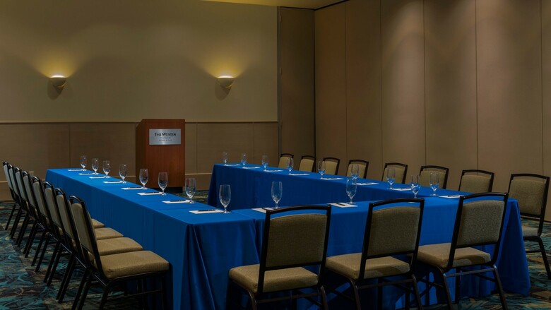Hotel Westin Punta Cana Resort & Club
