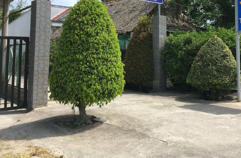 Hotel Thanh Tan Guesthouse