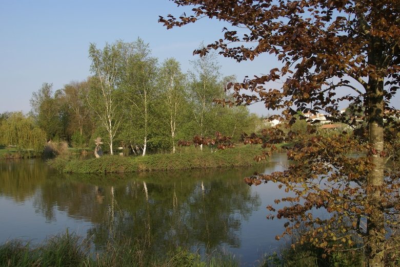 Apartamento L'appartement de La Villa L'olivier