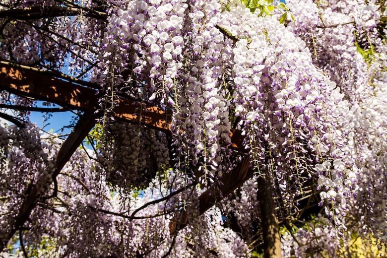 Agroturismo Agriturismo Tra Serra E Lago