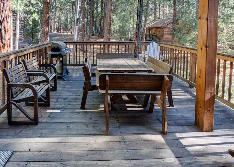 Cabin Twelve