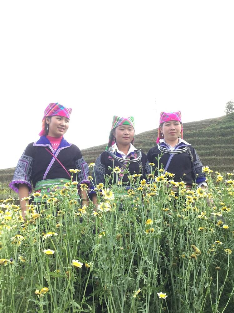 Hotel Do Gu Homestay