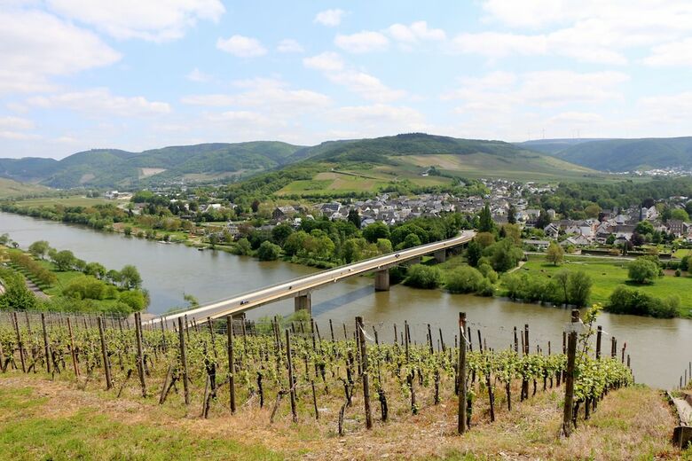 Wellness- & Genusshotel Weisser B�r