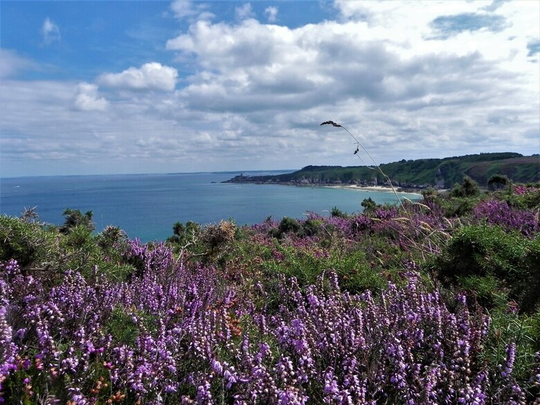 Bed & Breakfast La Fontaine de Resnel