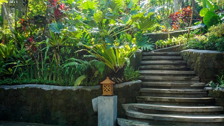 Villa Umah Lawas Ubud