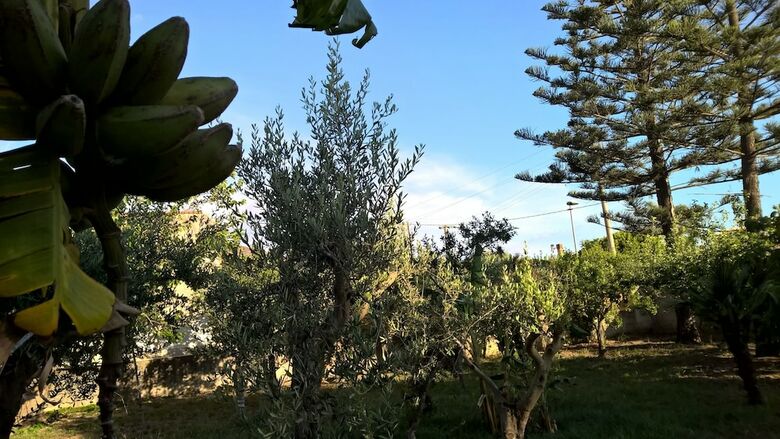 Casa Vacanze Summertime